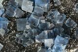 Blue Cubic Fluorite on Quartz - China #111912-2